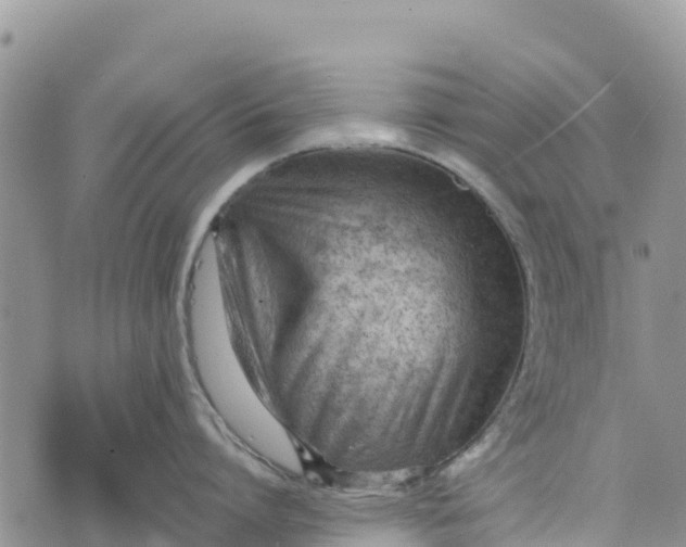 X0000073450864200608111348