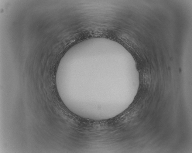 X0000073450865200608111348