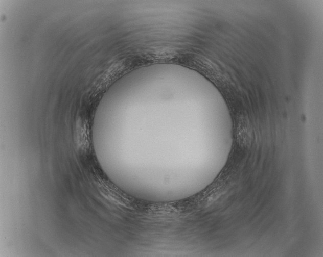 X0000073450866200608111348