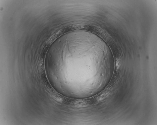 X0000073450867200608111348