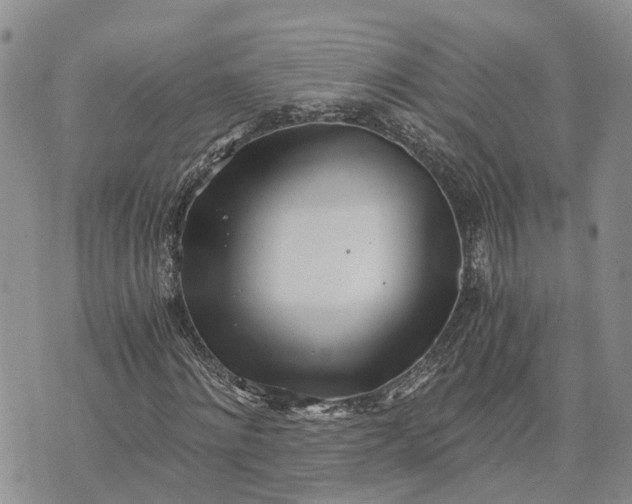 X0000073450868200608111348