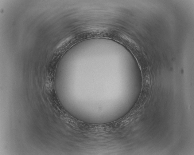 X0000073450869200608111348