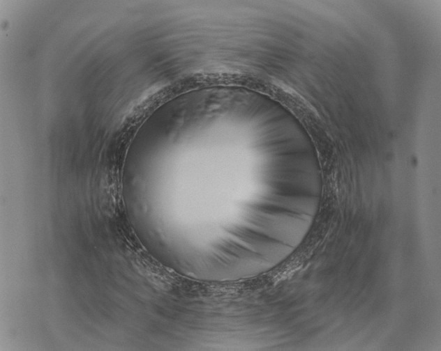 X0000073450870200608111348