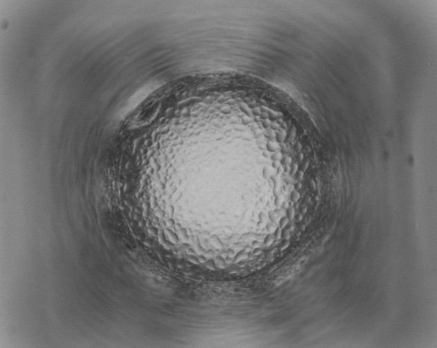 X0000073450871200608111348