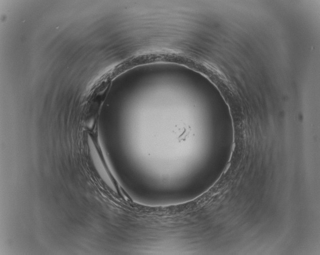 X0000073450872200608111348