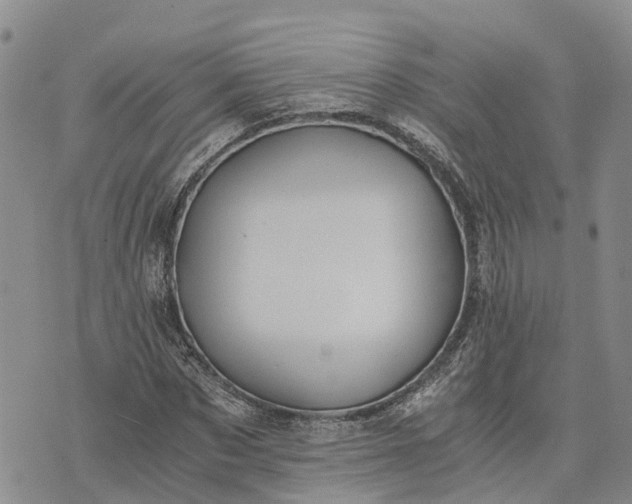 X0000073450873200608111348