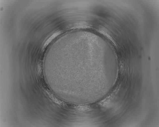 X0000073450874200608111347