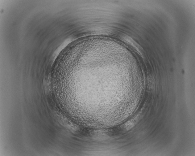 X0000073450875200608111347