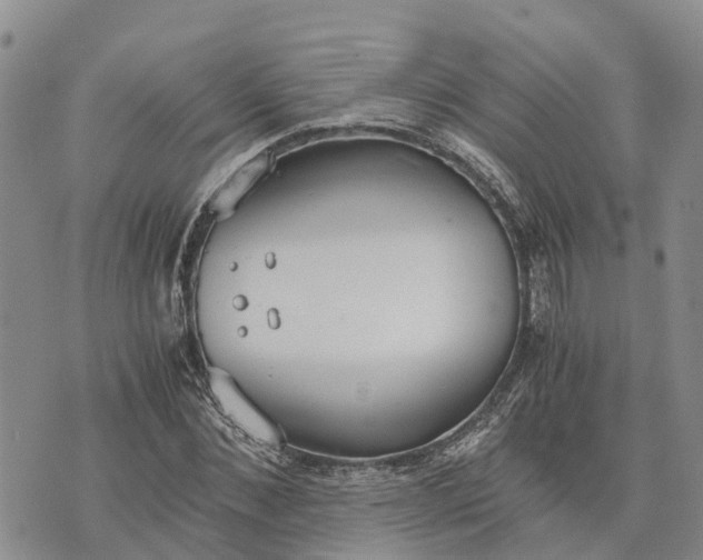 X0000073450876200608111347