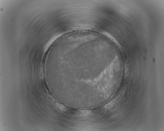 X0000073450878200608111347