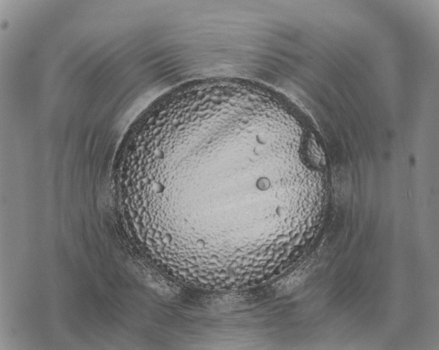 X0000073450879200608111347