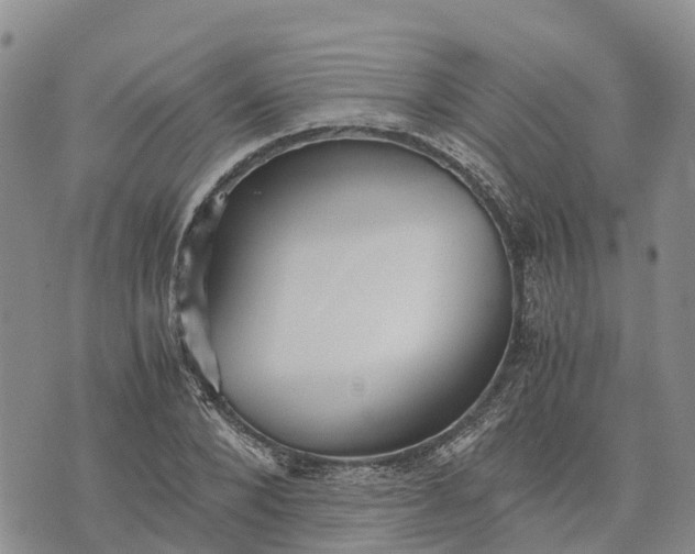 X0000073450880200608111347