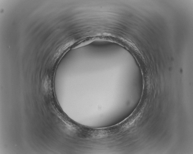 X0000073450881200608111347