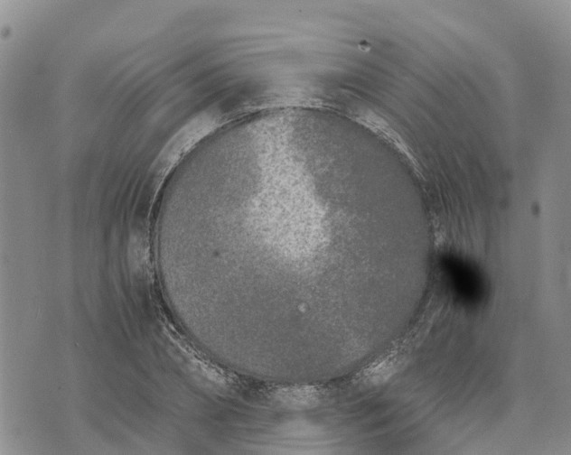 X0000073450882200608111347