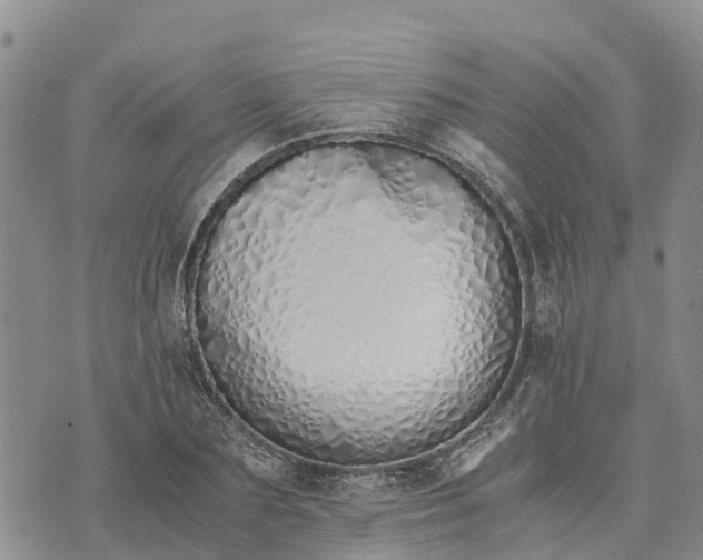 X0000073450883200608111347