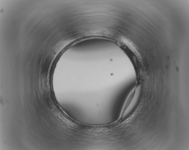 X0000073450884200608111347