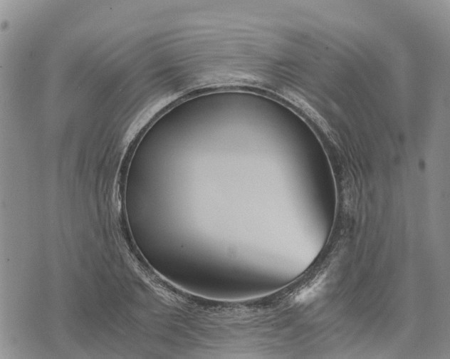 X0000073450885200608111347