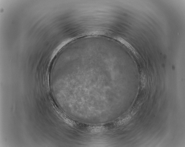 X0000073450886200608111347