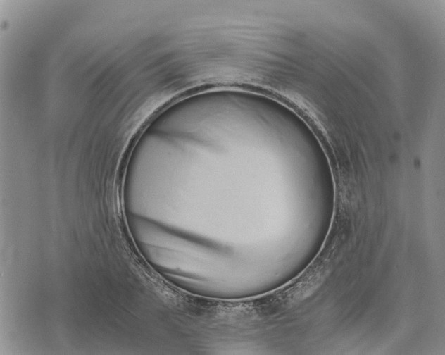 X0000073450887200608111347