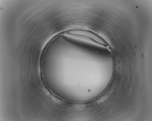 X0000073450888200608111347