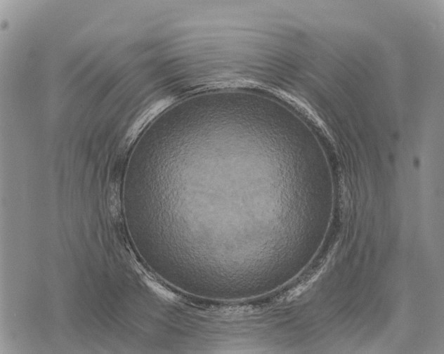 X0000073450889200608111347