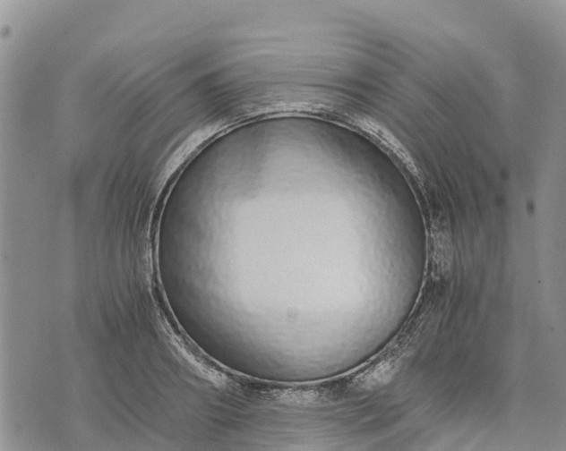 X0000073450890200608111347