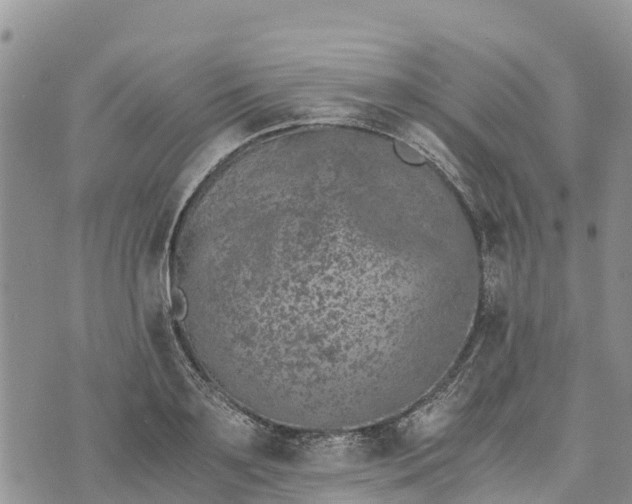 X0000073450891200608111347