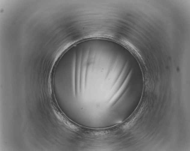 X0000073450892200608111347