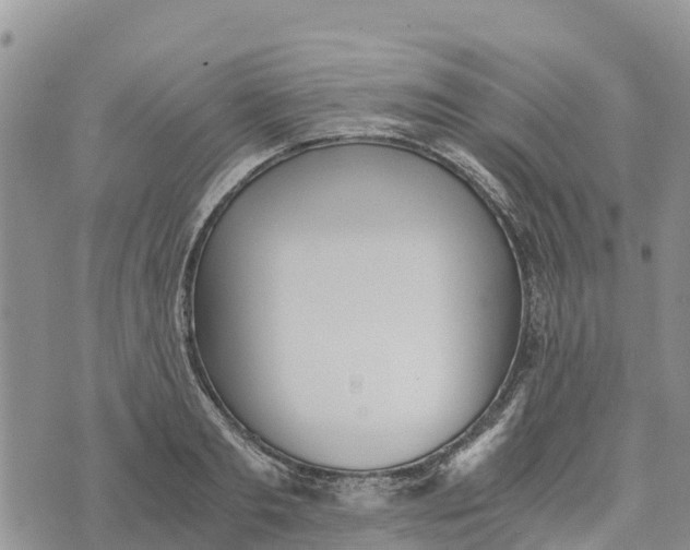 X0000073450893200608111347