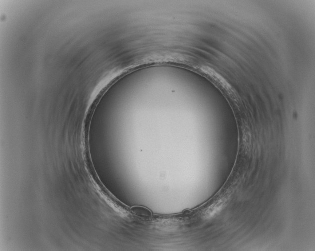 X0000073450894200608111347