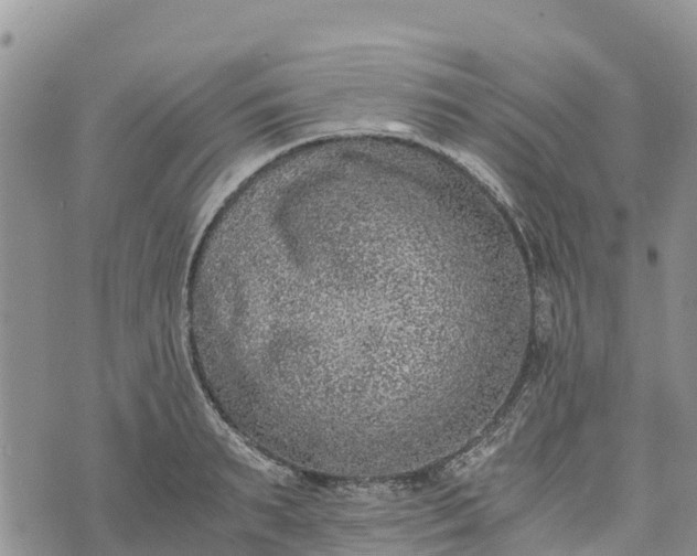 X0000073450895200608111347