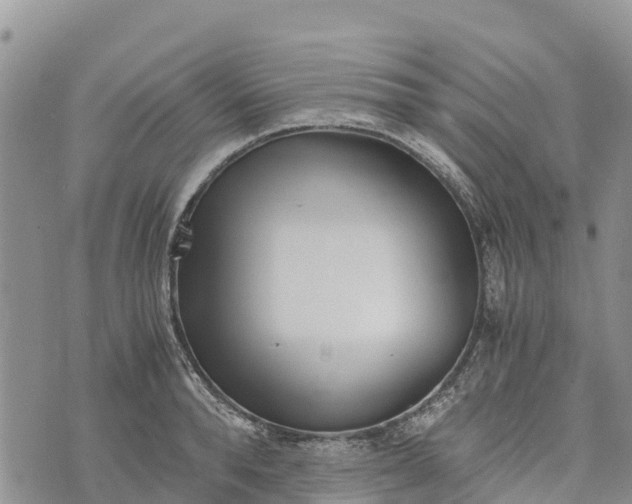 X0000073450896200608111347