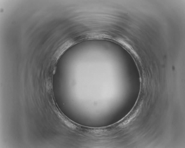 X0000073450897200608111347