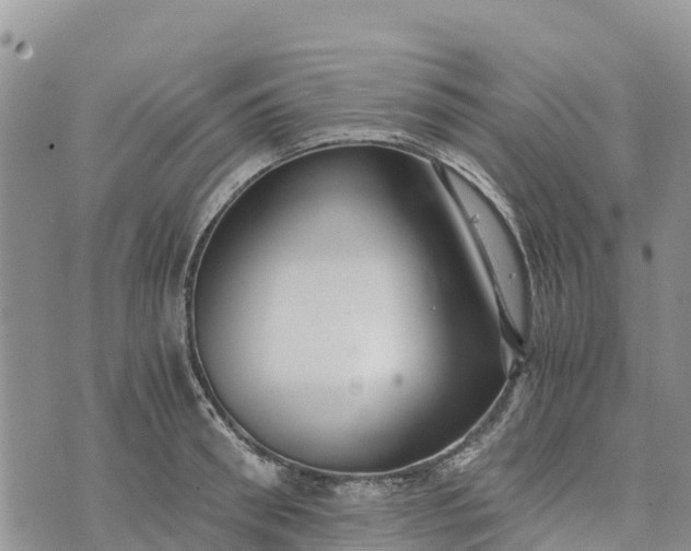 X0000073450898200608111347