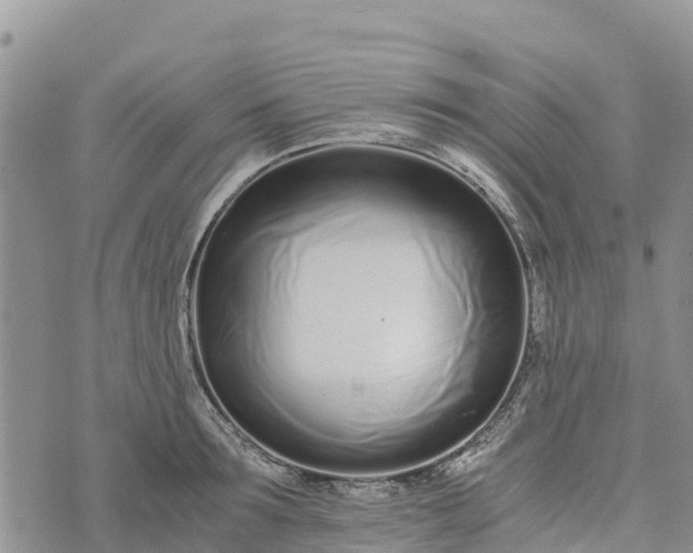 X0000073450899200608111347