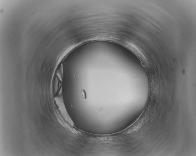 X0000073450900200608111347