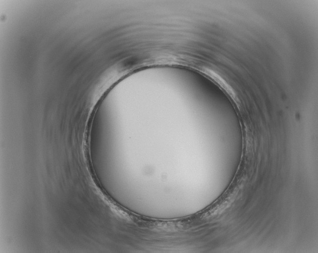 X0000073450901200608111347