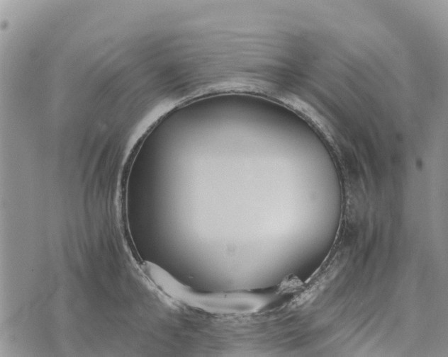 X0000073450902200608111347