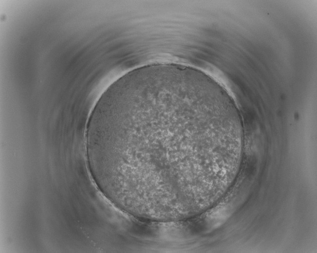 X0000073450903200608111347