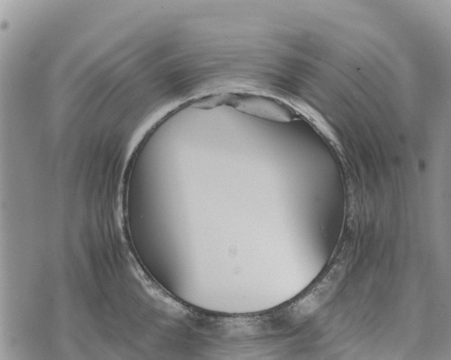 X0000073450904200608111347