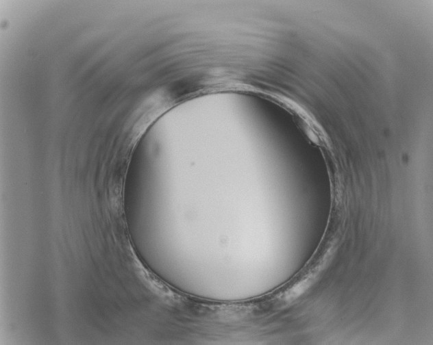 X0000073450905200608111347