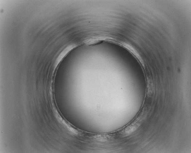 X0000073450906200608111347