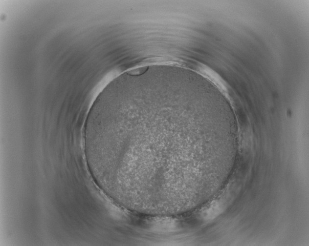 X0000073450907200608111347