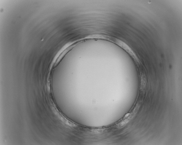 X0000073450908200608111347