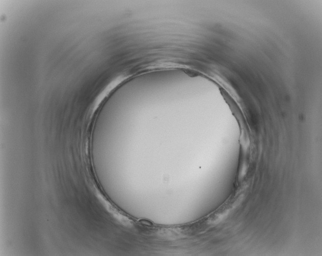 X0000073450909200608111347