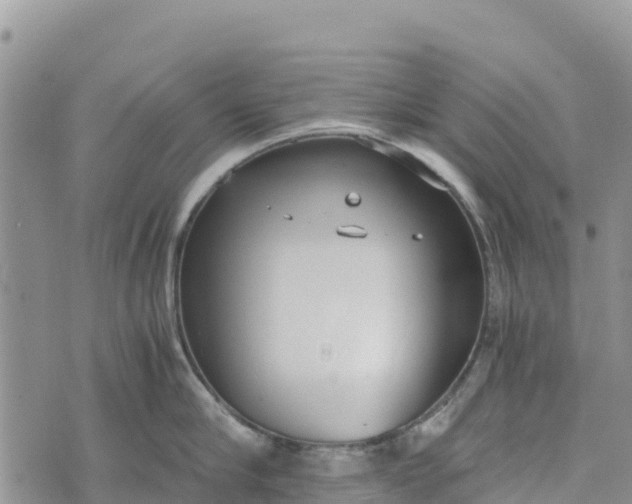 X0000073450910200608111347