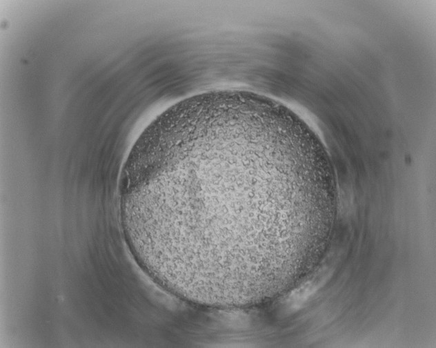 X0000073450911200608111347