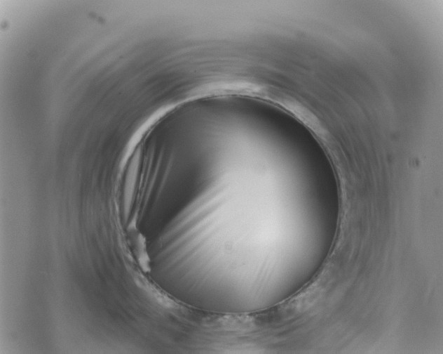 X0000073450912200608111347