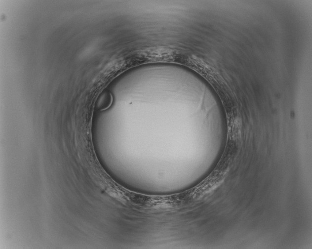 X0000073450913200608111346