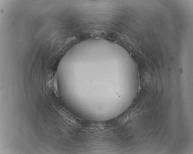 X0000073450914200608111346